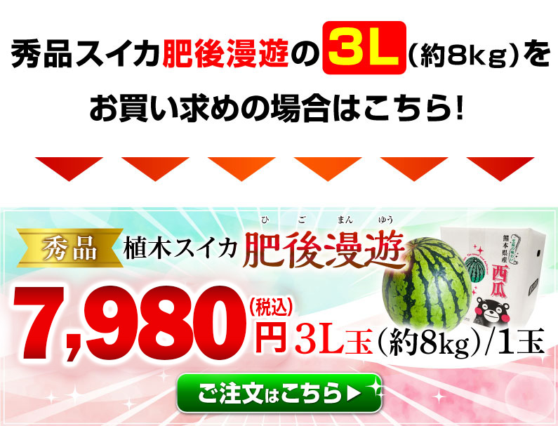 ポイント5倍 父の日 ギフト スイカ 肥後漫遊 秀品 L/１玉 熊本県産