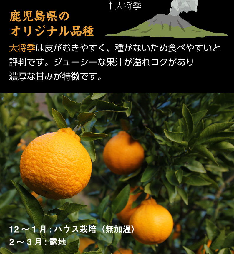 果汁たっぷり 産地直送 爽あま?！