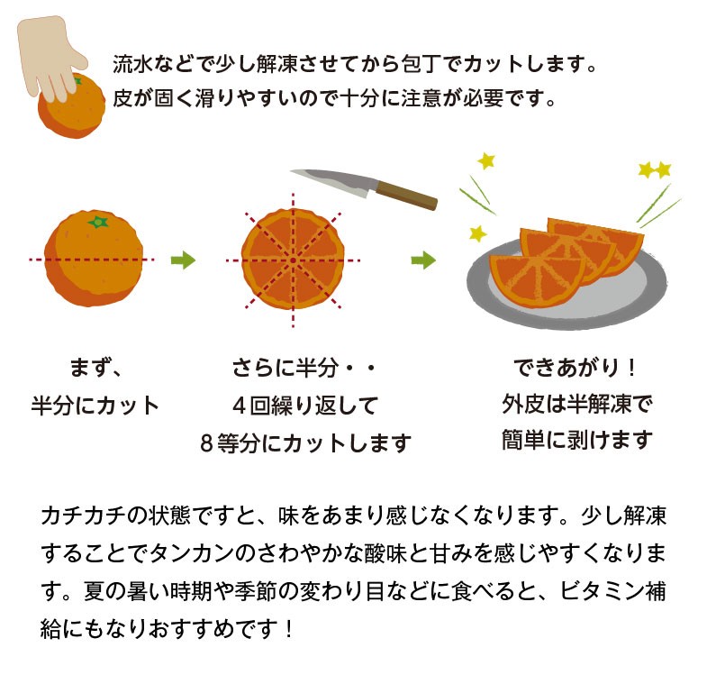 冷凍たんかん鹿児島県産 ２kg 甘味濃縮 希少な冷凍タンカン Tan R くいしんぼうドットコム 通販 Yahoo ショッピング