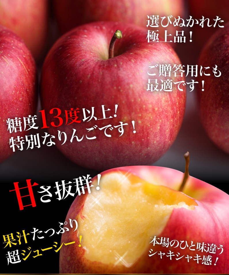 ギフト りんご サンふじりんご 青森県津軽産 完熟プレミアム ５kg 贈答 