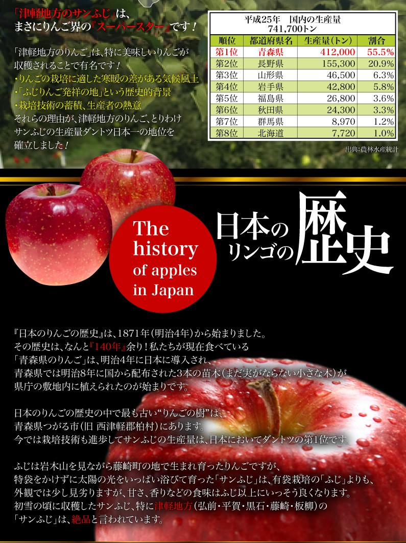 ギフト りんご サンふじりんご 青森県津軽産 完熟プレミアム ５kg 贈答 