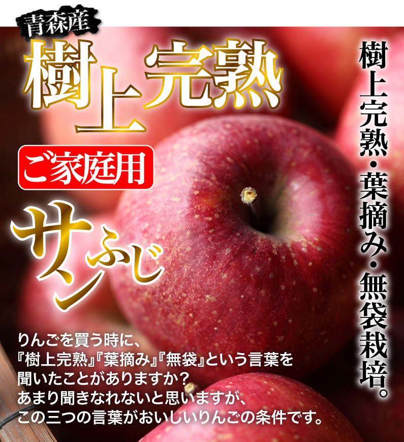 りんご 津軽完熟 サンふじりんご 青森県 ご家庭用 ５kg 送料無料 リンゴ 林檎 フルーツ 果物 Y常 :tapf005:くいしんぼうドットコム -  通販 - Yahoo!ショッピング