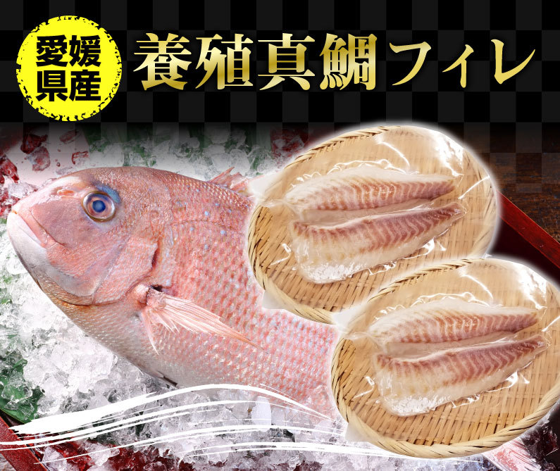 鯛 刺身 フィレ マダイ 真鯛 １尾 フィレ 皮無し 2枚 2 500g 送料無料 海鮮 魚介 冷凍 真空パック Y凍 T Fillet02 くいしんぼうドットコム 通販 Yahoo ショッピング