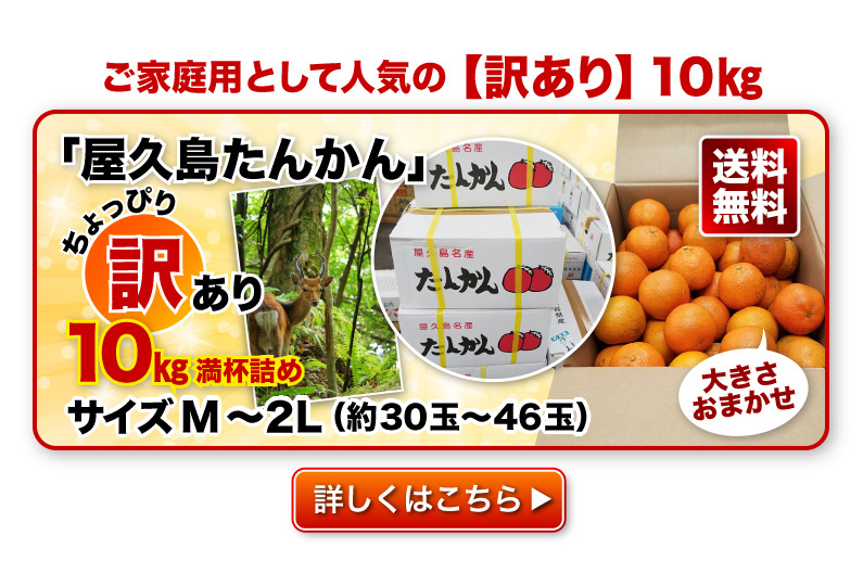 たんかん 柑橘 屋久島 優品 5kg サイズLまたは2L(約30玉〜36玉)ご家庭