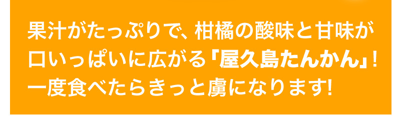 果汁たっぷりで柑橘の酸味と甘味が口いっぱいにひろがる！