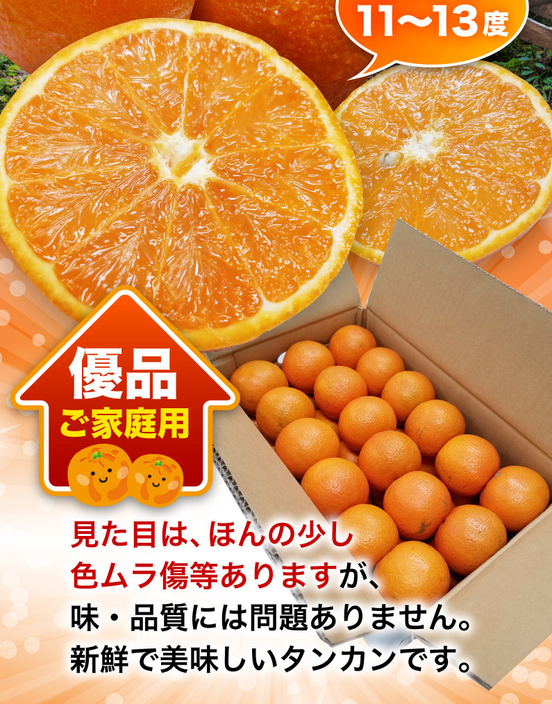 たんかん 柑橘 屋久島 優品 5kg サイズLまたは2L(約30玉〜36玉)ご家庭 
