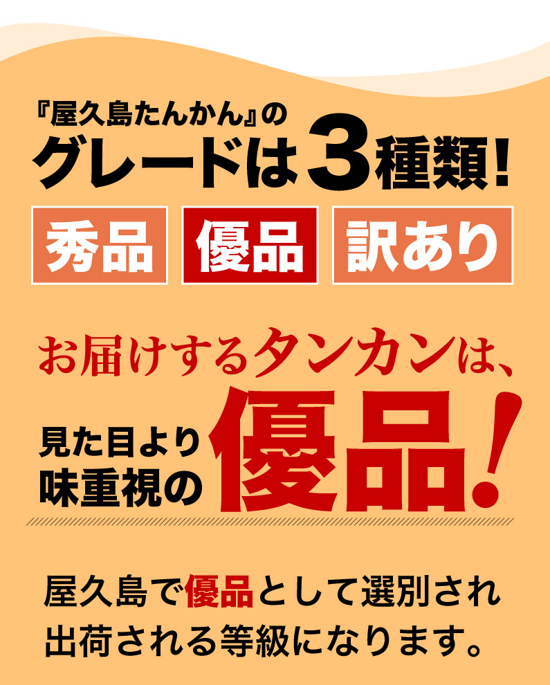 屋久島たんかんのグレードは3種類！お届けするタンカンは見た目より味重視の優品！