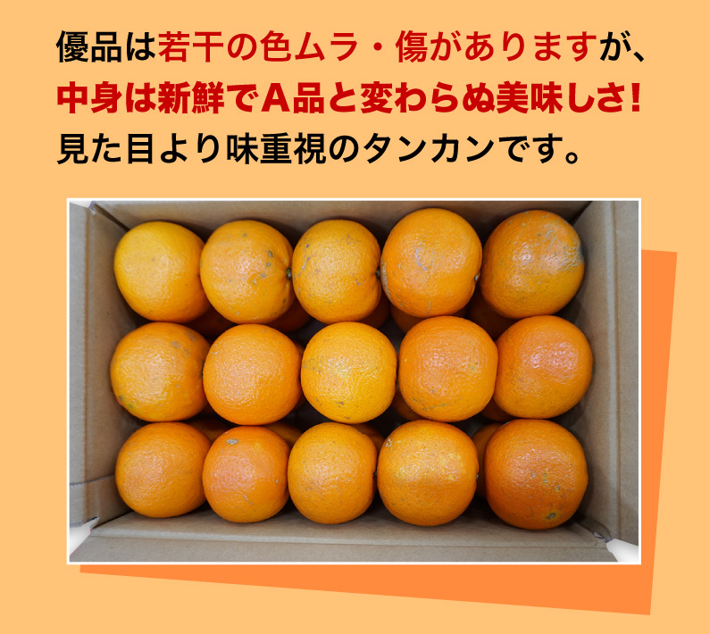 たんかん 柑橘 屋久島 優品 5kg サイズLまたは2L(約30玉〜36玉)ご家庭用 糖度平均11〜13度 産地直送 極旨 冬の味覚 フルーツ 果物  送料無料 Y常