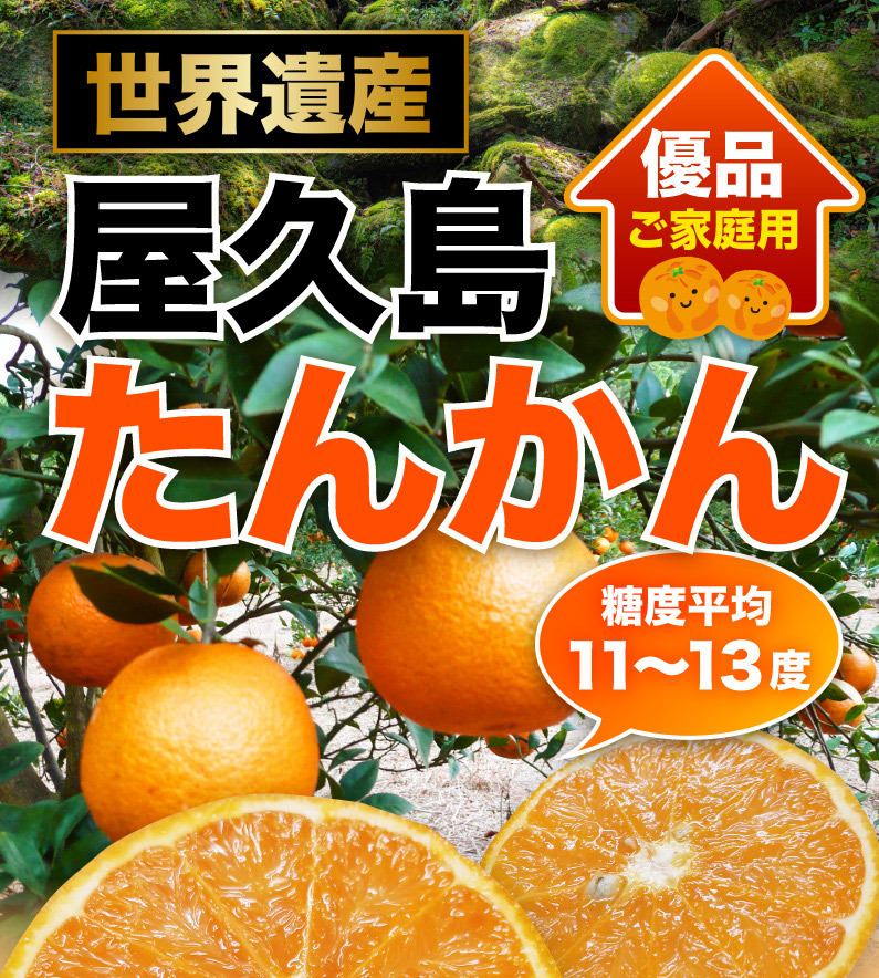 世界遺産屋久島たんかん 優品ご家庭用