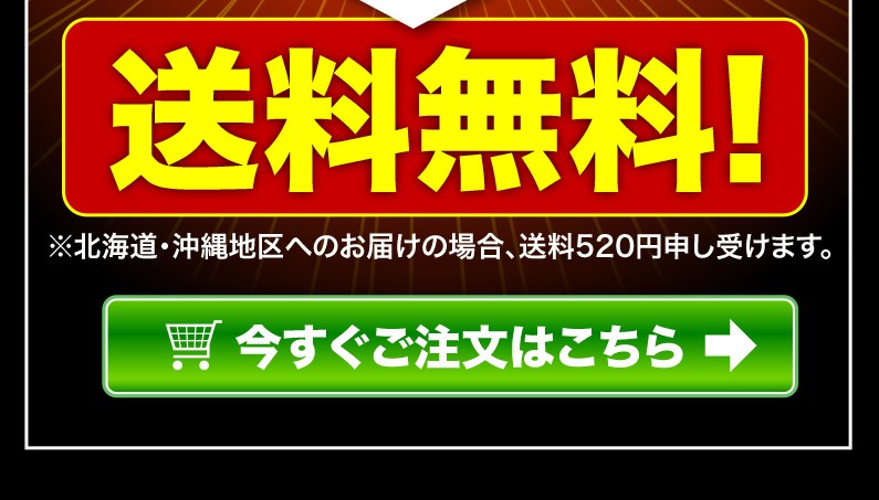 送料無料！今すぐご注文はこちら