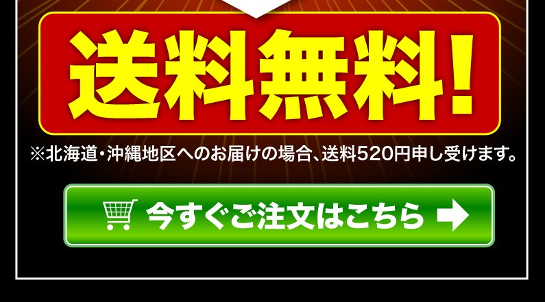 送料無料！今すぐご注文はこちら