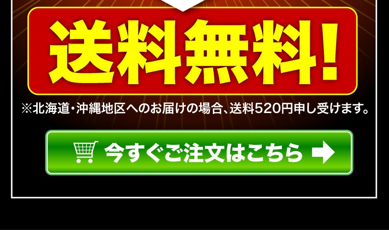 送料無料！今すぐご注文はこちら