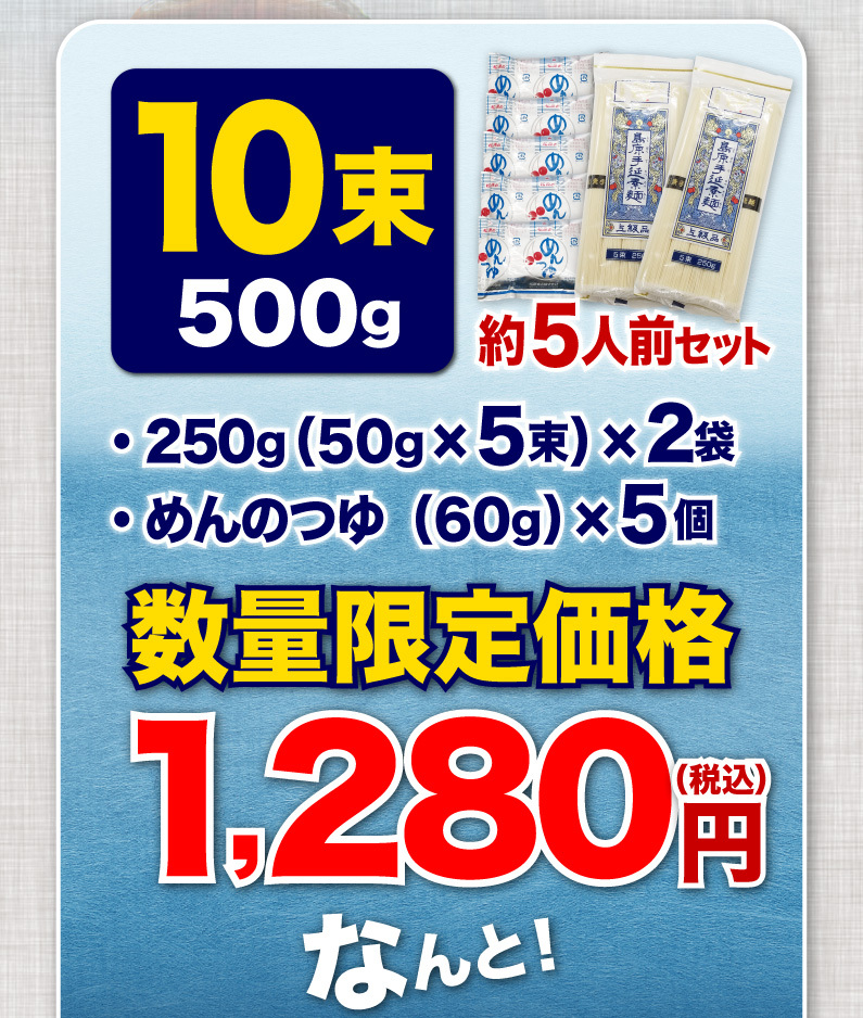 10束500g 約5人前セット 250g(50g x5束) x2袋 めんのつゆ(60g) x5個 数量限定価格