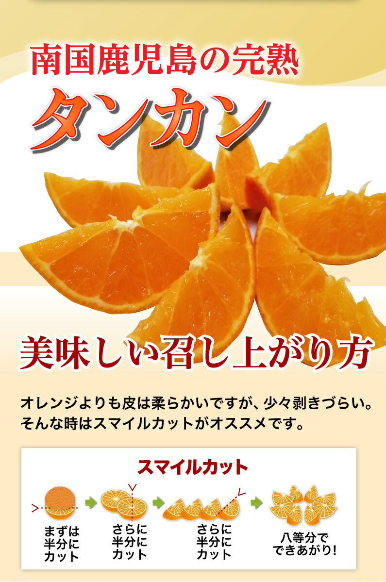 鹿児島内之浦産 完熟 たんかん 秀品 5kg 2L/L 手詰め化粧箱 贈答