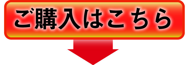 半生手延べ人力うどん購入はこちらから