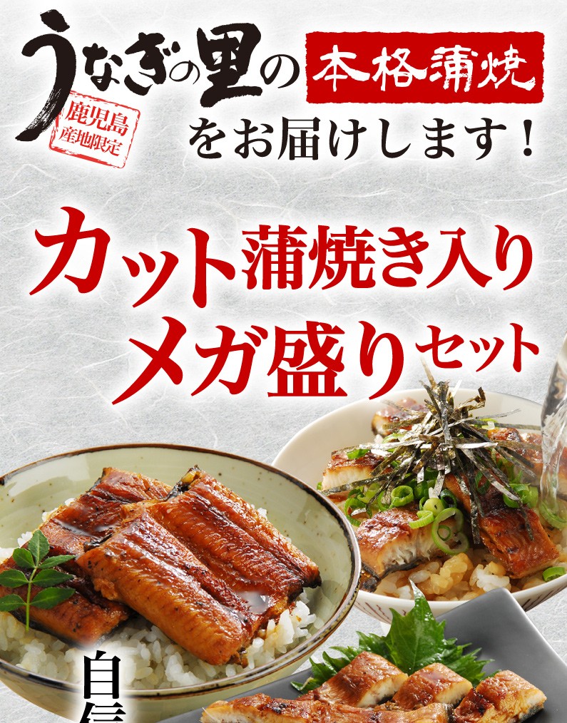 うなぎ 国産 送料無料 1kg 鹿児島県産鰻 極上蒲焼き メガ盛りAセット カット きざみ グルメ クール :mega20:くいしんぼうドットコム -  通販 - Yahoo!ショッピング