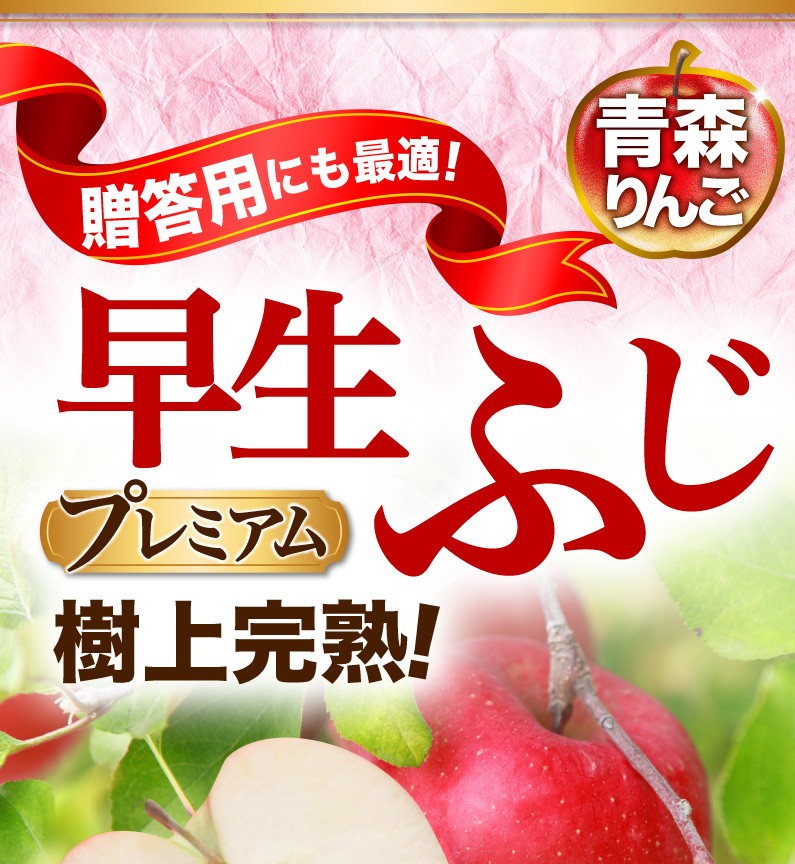 10月出荷 りんご 青森 津軽 早生ふじ 樹上完熟プレミアム 3kg（8〜12玉