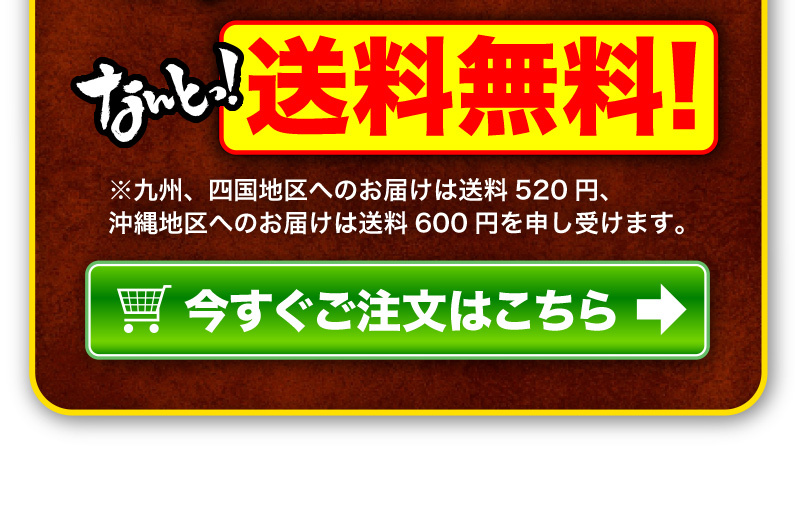 送料無料！今すぐご注文はこちら