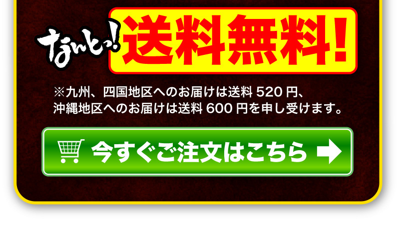 送料無料！今すぐご注文はこちら