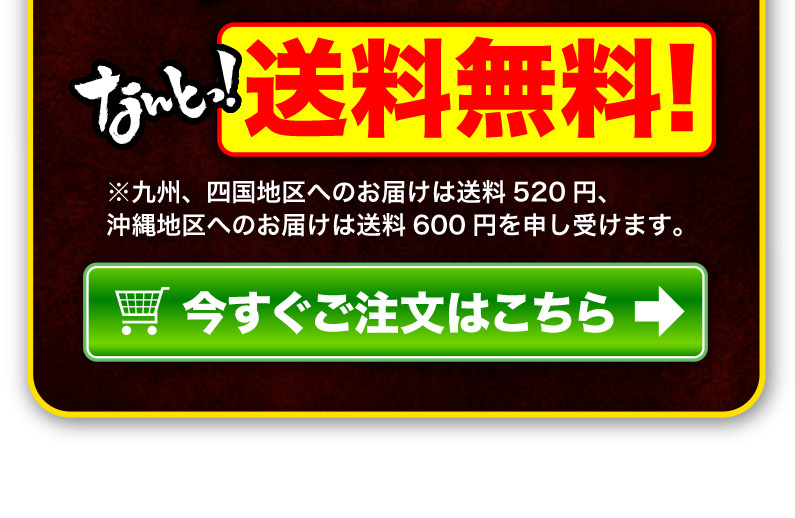 送料無料！今すぐご注文はこちら