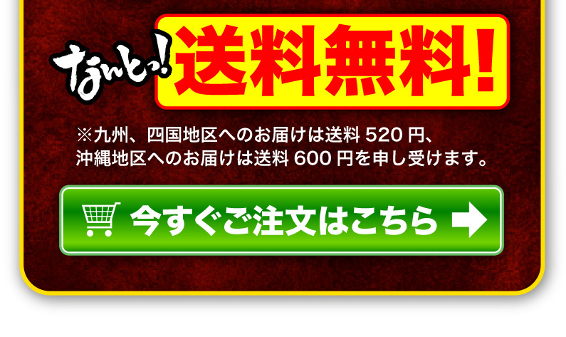 送料無料！今すぐご注文はこちら