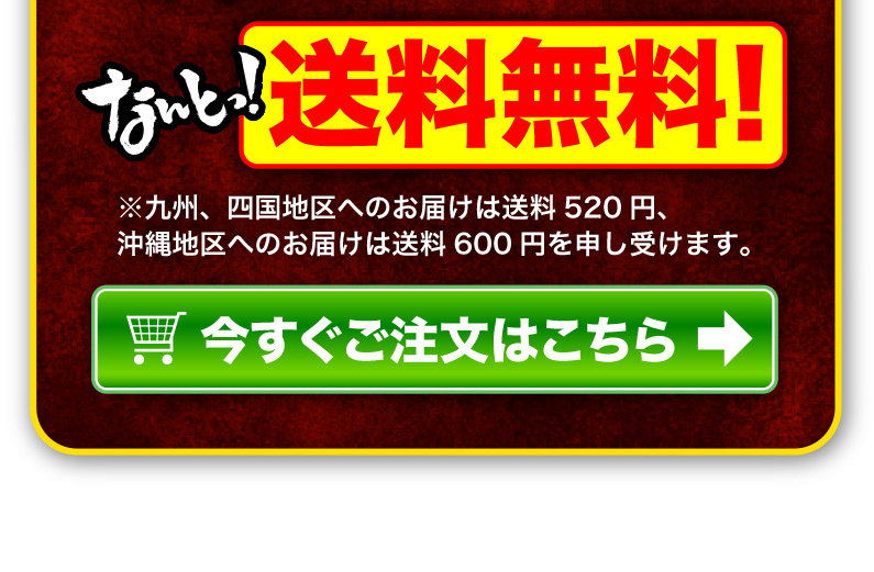 送料無料！今すぐご注文はこちら