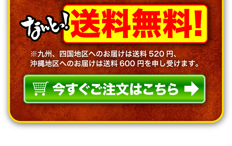 送料無料！今すぐご注文はこちら