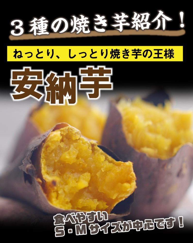 選べる焼き芋 500g×1袋 冷やし焼き芋 安納芋 シルクスイート 紅はるか 鹿児島県産 送料無料 クール :ytb01:くいしんぼうドットコム -  通販 - Yahoo!ショッピング