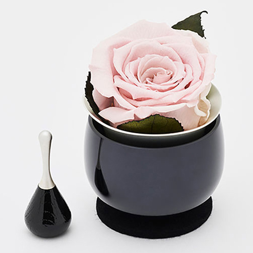 なーむくまちゃん工房 リンフローラ 仏具 プリザーブドフラワー