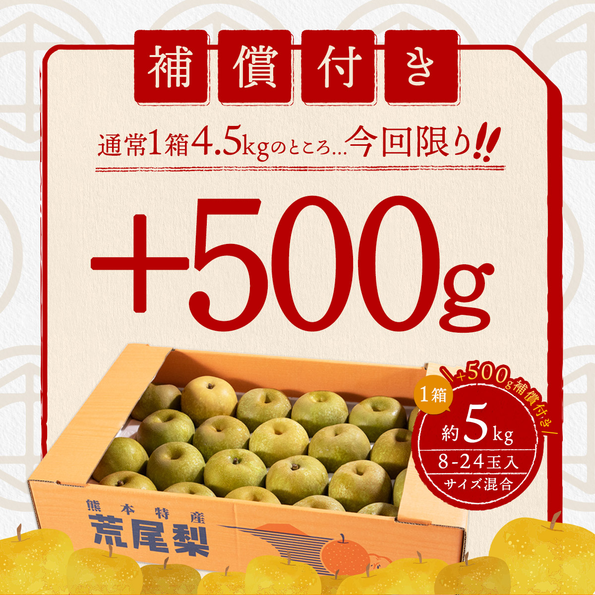 新しいスタイル なし 熊本産 幸水 豊水 訳あり 5kg 8-24玉 完熟なし 不揃い 4.5kg 500g補償 自宅用 先行予約 クール便 