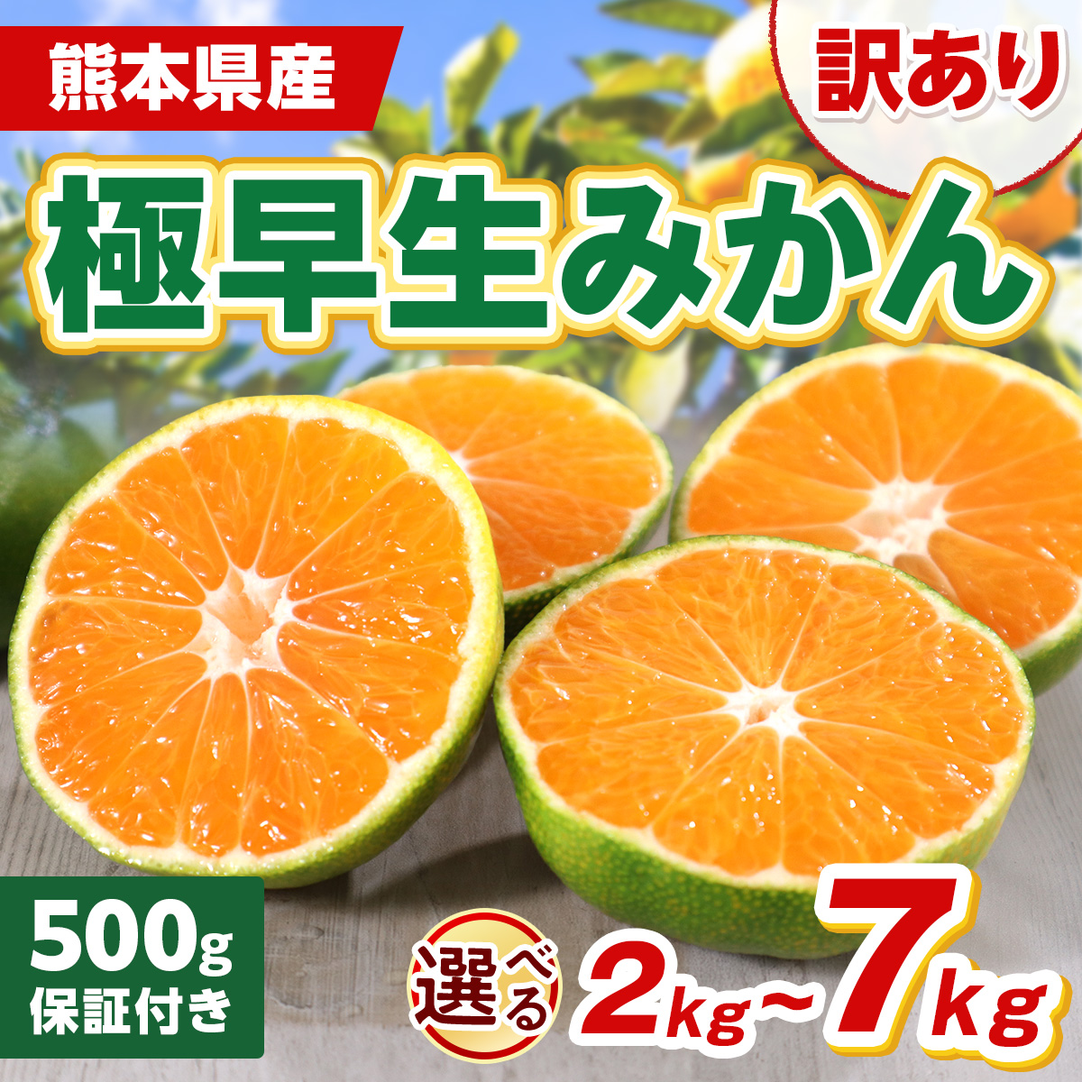 “極早生みかん商品画像"