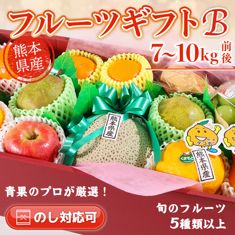 旬のフルーツギフトb 果物詰め合わせ 厳選 7 10kg前後 熊本産 法事 お供え 贈答 お土産 クール便 Gift B 肥後 中村屋 通販 Yahoo ショッピング