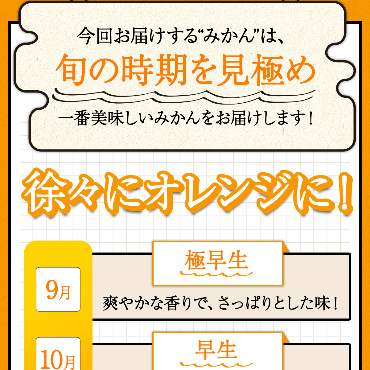 “極早生みかん商品画像"