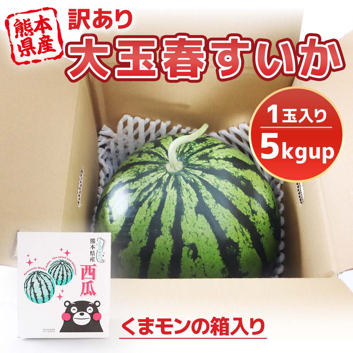 スイカ 訳あり 熊本産 大玉春スイカ 1玉 5kgup 家庭用 すいか 西瓜 産地直送 大容量 贈答 ギフト 贈り物 お土産 常温便