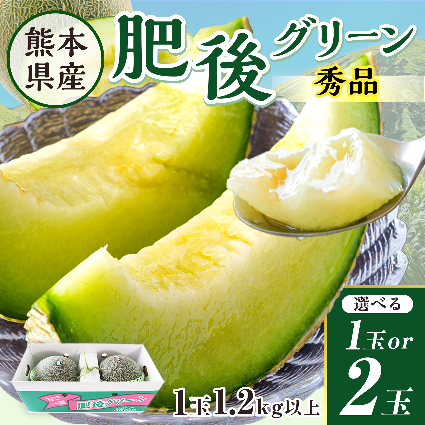 メロン 肥後グリーン お中元 熊本産 秀品 1玉 2玉 お供え ギフト 高級 メロン 肥後グリーン お中元 熊本産 秀品 1玉 2玉 お供え ギフト 高級