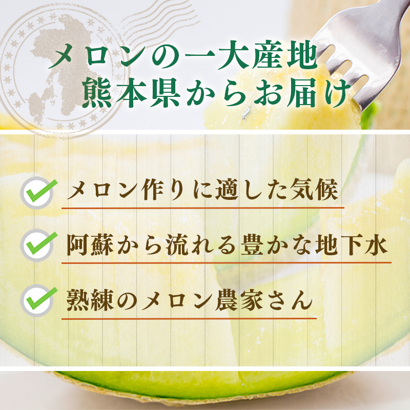 マスクメロン説明画像3