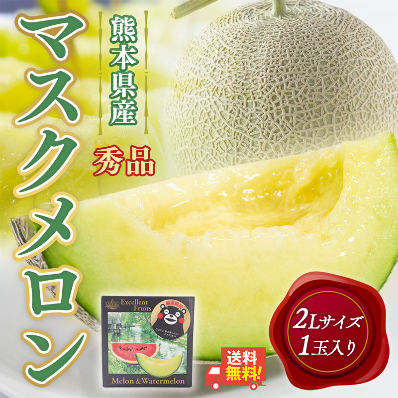 メロン マスクメロン 熊本産 1玉 2L 秀品 プレゼント ギフト 高級 青肉