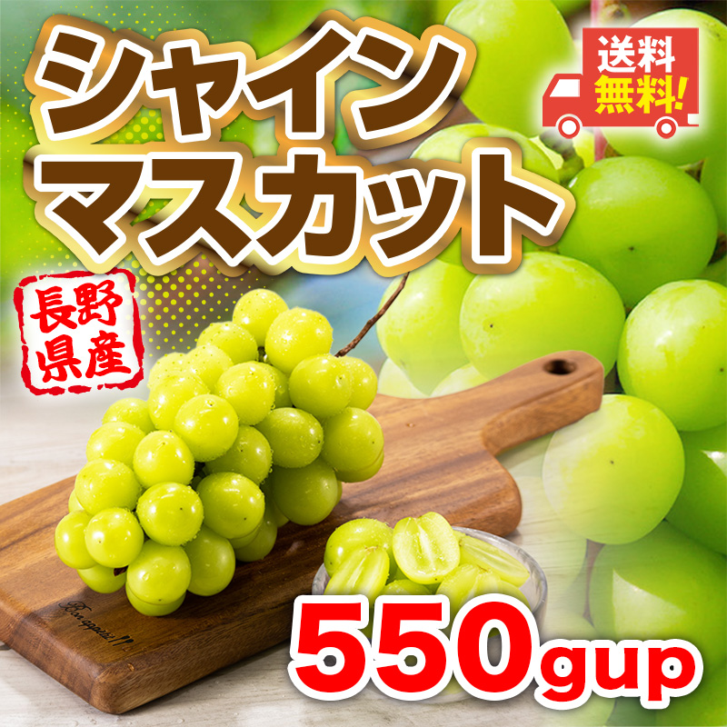 シャインマスカット ぶどう 訳あり 長野産 550gup 家庭用 果物 フルーツ 常温便 :shinemuscat550g-1:肥後 中村屋 - 通販  - Yahoo!ショッピング