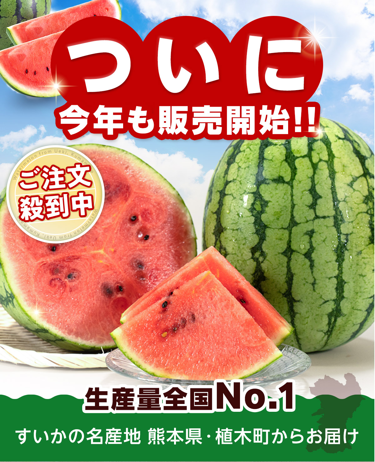 すいか 熊本県産 訳あり 5kg以上 大玉 1玉 植木町産 家庭用 常温便