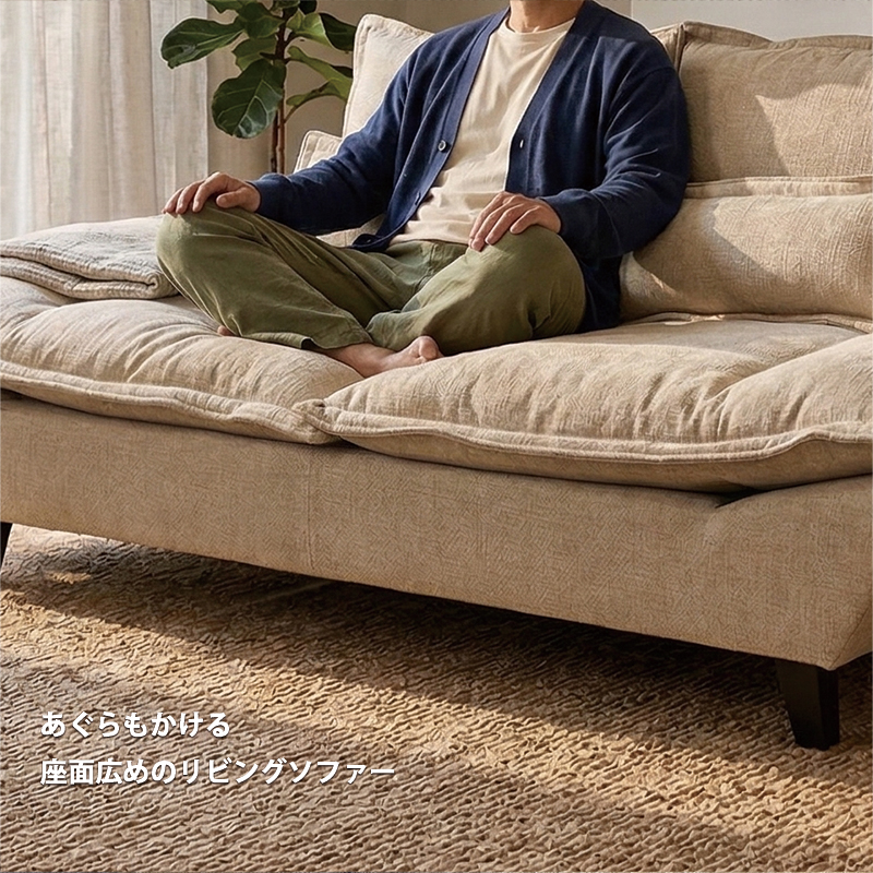 2人掛けソファ/ソファベッド　幅164cm ソファーベッド 2人掛け SOFA 背もたれ 可動式 羽毛 ファブリック