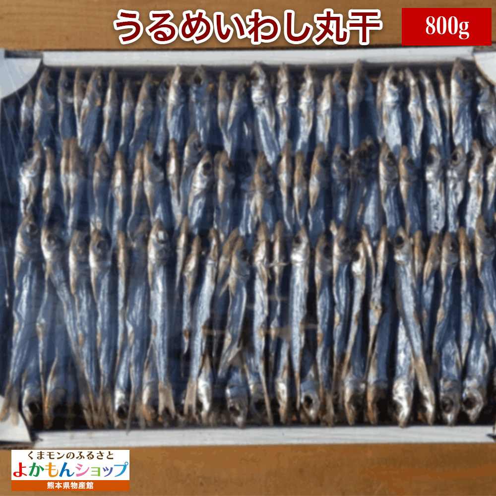 松岡水産 うるめいわし 丸干し 800g 熊本 天草産 冷凍 干物 ギフト ウルメイワシ 甘汐 : 2022-103 :  くまモンのふるさとよかもんショップYahoo!店 - 通販 - Yahoo!ショッピング