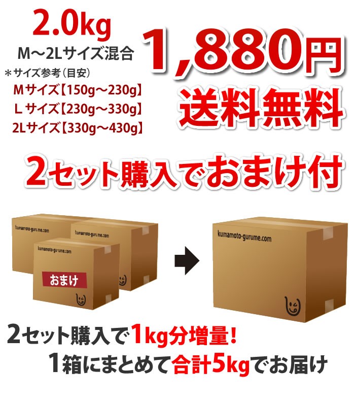 紅はるか 送料無料 2箱購入で1kg増量 生芋 安納芋 に匹敵する糖度 熊本県産 紅蜜芋 石焼き芋 まるでスイーツ