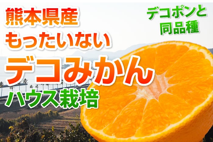 もったいないデコみかん