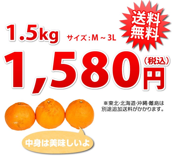 おまけ盛りだくさん