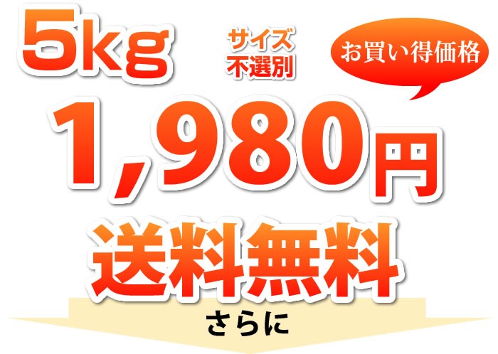 5kg1780円送料無料