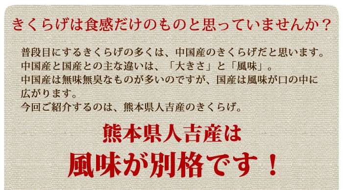 きくらげは食感だけじゃない