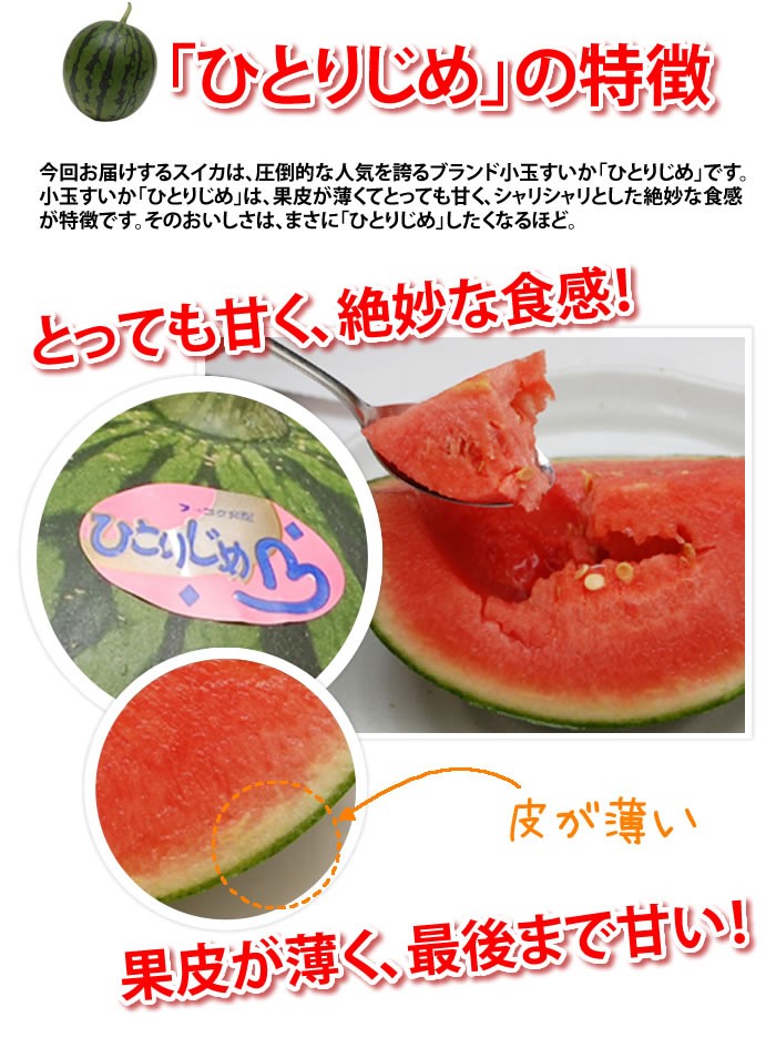 熊本県産小玉スイカ「ひとりじめ」2Lサイズ2玉: you+you