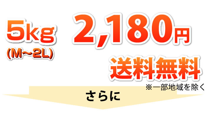 5kg1,980円送料無料