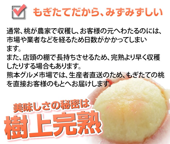 桃 送料無料 温室桃 はなよめ 熊本県産 秀品 約1kg 5 6玉入り 2箱購入で1箱おまけ付 Y Peach H01 熊本グルメ市場 Yahoo 店 通販 Yahoo ショッピング