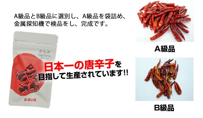日本一の唐辛子を目指しています